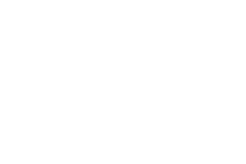 vileda